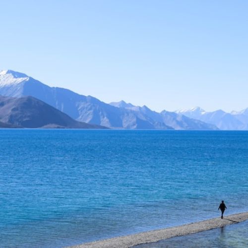 pangong tour