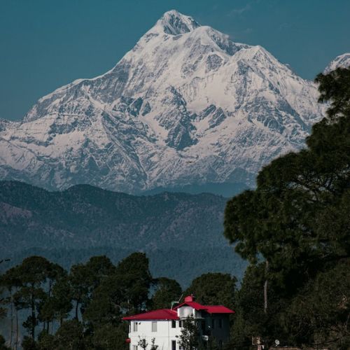 ranikhet tour