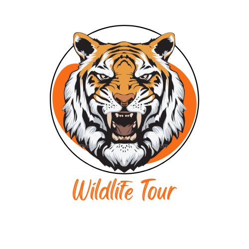 wildlife-tours